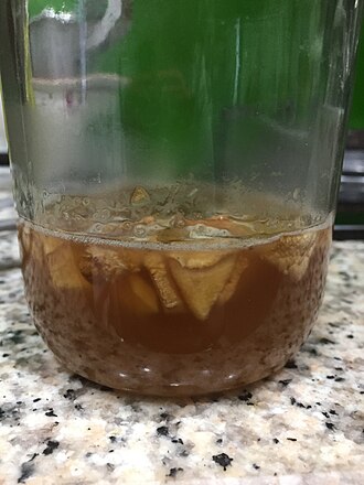 Fermentation