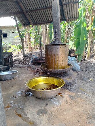 Palm oil