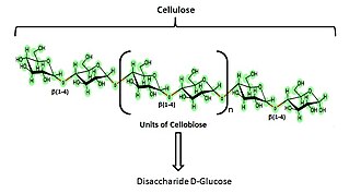 Cellulose