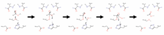 Hydrolysis