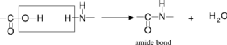 Amide