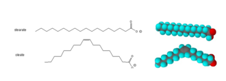 Unsaturated fat