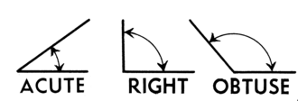 adjacent angle