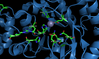active site