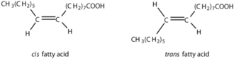 fatty acid
