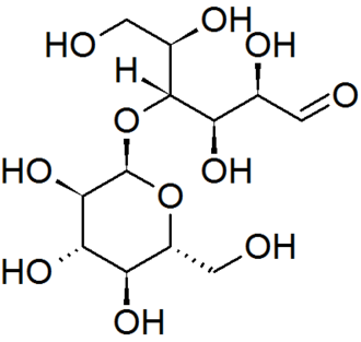 maltose