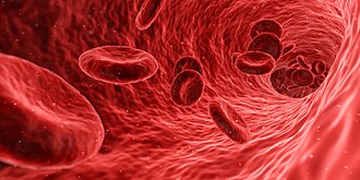 Red blood cell