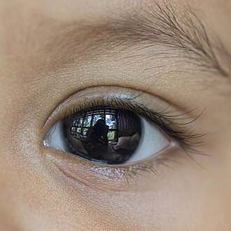 Pupil