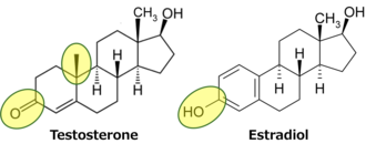 Testosterone