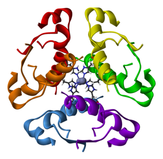 Insulin