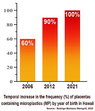 Placenta