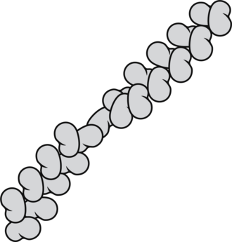 Filament
