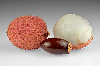 Seed