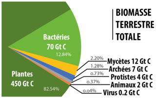 Biomass