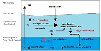 Nitrogen cycle