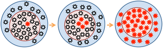 Population size