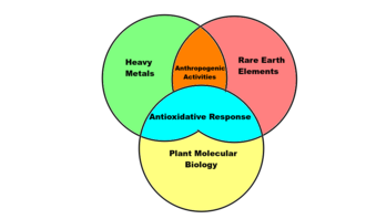 Heavy metals