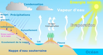 Water cycle