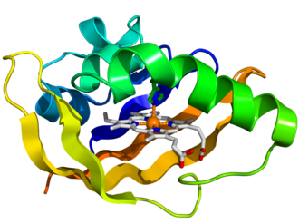 Nitrogen-fixing bacterial