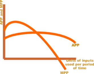 Marginal Product/productivity
