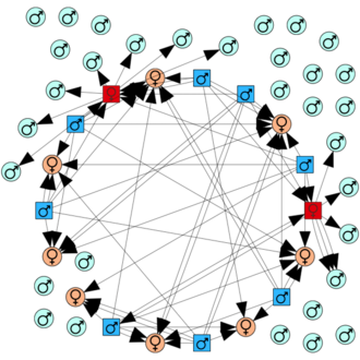 Multiplier effect