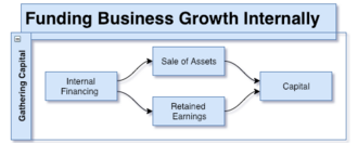 Internal growth