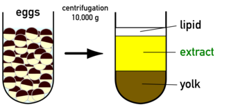 Extract