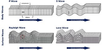Seismic waves