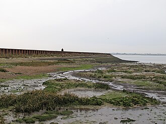 Seawall