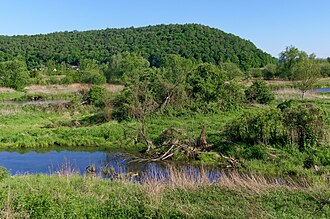 Oxbow lake