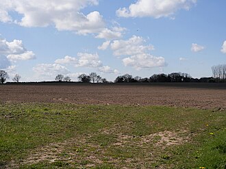 Arable farming