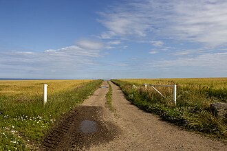 Extensive farming