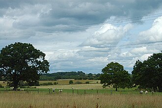 Mixed farming
