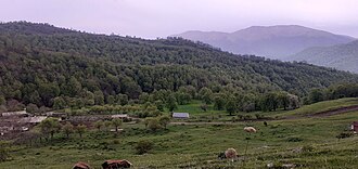 Pastoral farming