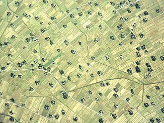 Dispersed settlement