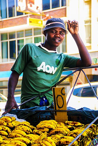 Informal job sector