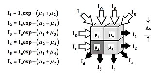 Coefficient matrix