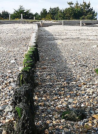 longshore drift
