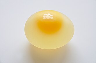 egg
