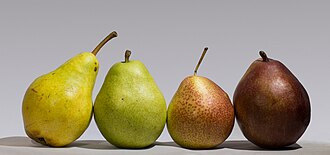 pear
