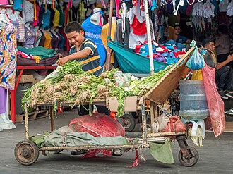 vegetable