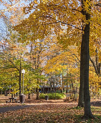 autumn