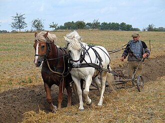 farmer