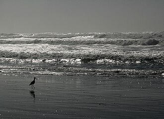 ocean