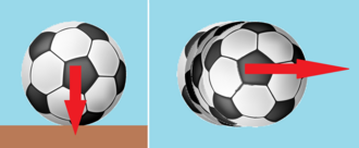 Inertia
