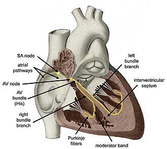 conduction