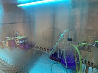 ultraviolet