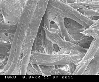 Filter paper