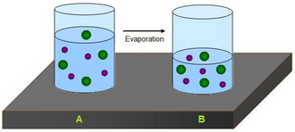Evaporation