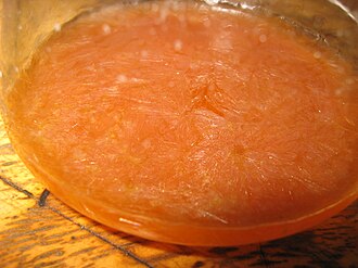 Crystallization